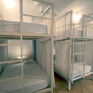 Single Bed Mixed Dormitory Room